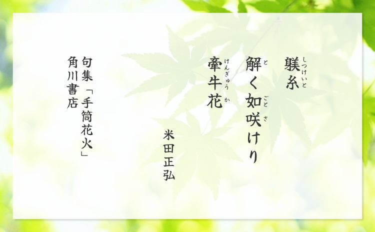 躾糸　解く如咲けり　牽牛花