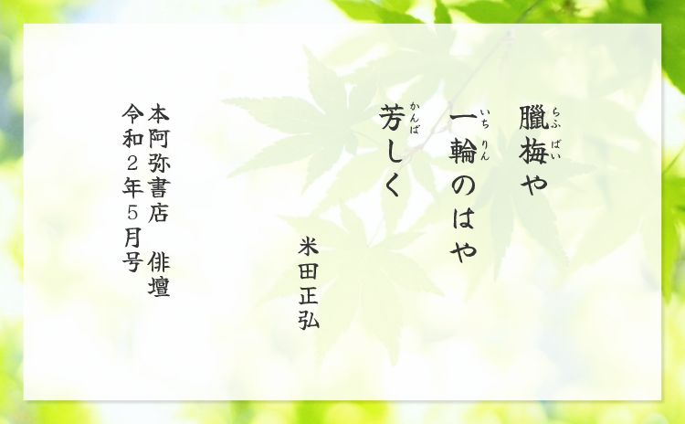 臘梅や　一輪のはや　芳しく