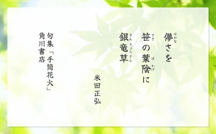 儚さを　笹の葉陰に　銀竜草