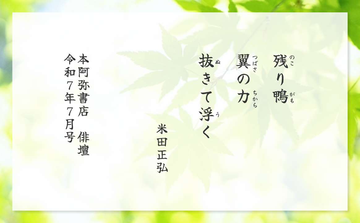 残(のこ)り鴨(がも)翼(つばさ)の力(ちから)抜(ぬ)きて浮(う)く